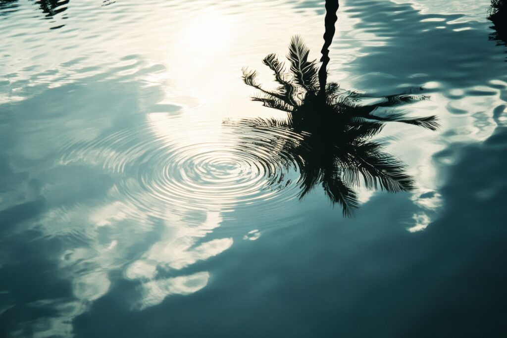 “Palm tree reflected in floodwater symbolizing Miami-Dade and California flood risk
